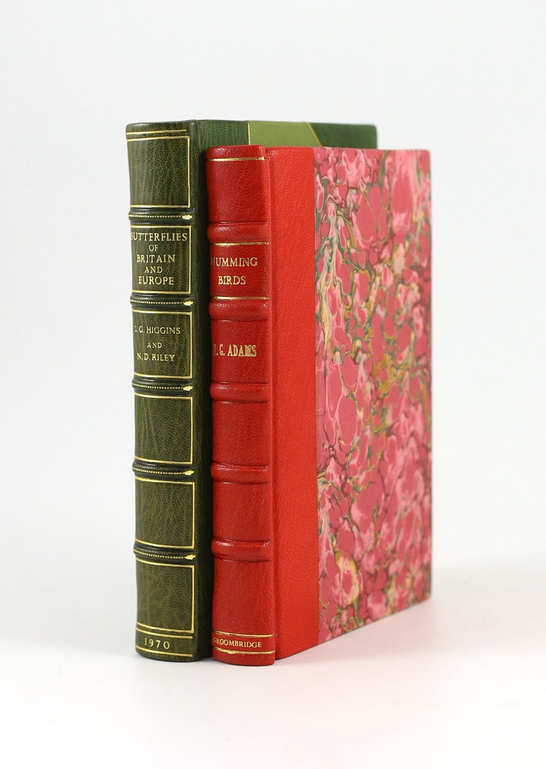 Adams, Henry Gardiner - Humming Birds, Described and Illustrated, 8vo, rebound quarter red morocco, with 8 colour plates, Groombridge and Sons, London [1856] and Higgins, L.G and Riley, N.D - A Field Guide to the Butterf